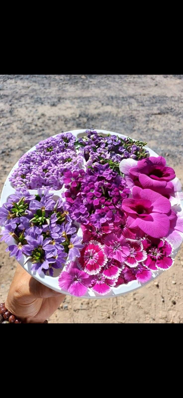 Edible Flowers: What They Are and How to Use Them