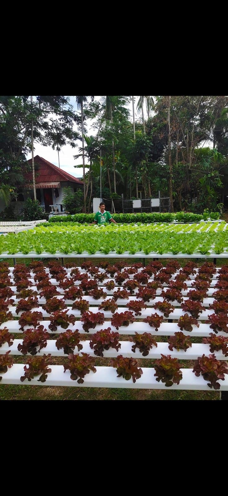 Lock your high season produce now
