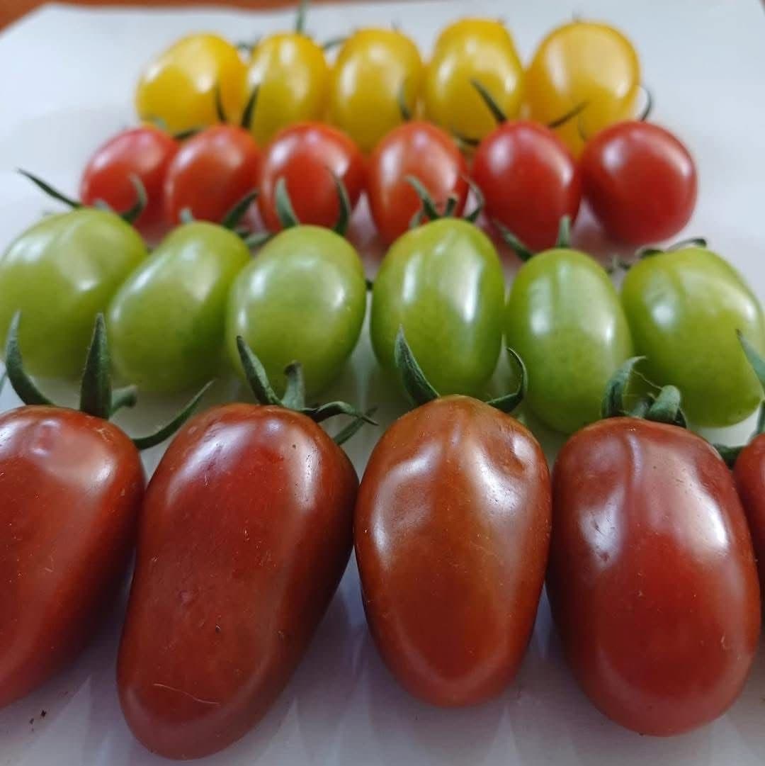 8 Tomato Varieties and What to Cook With Each